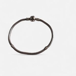 Pandora Dark Silver Charm Bracelet